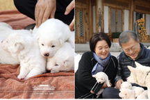 Tổng thống Hàn Quốc "khoe" món quà quốc khuyển từ Triều Tiên