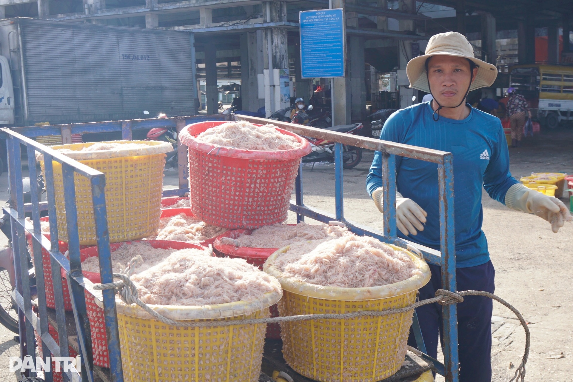 Ngư dân vớt lộc biển, bỏ túi tiền triệu ngày cận Tết - 6 Ngư dân vớt lộc biển, bỏ túi tiền triệu ngày cận Tết - 6