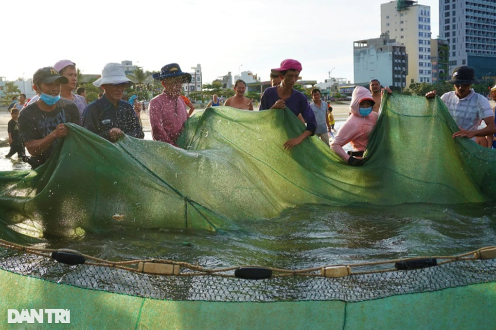 Hết thời dọc ngang trên biển, lão ngư chuyển nghề đi thụt lùi mưu sinh - 10 Hết thời dọc ngang trên biển, lão ngư chuyển nghề đi thụt lùi mưu sinh - 10