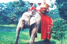 Huế: Cưỡi voi thăm cung vua hút khách ngày 30-4