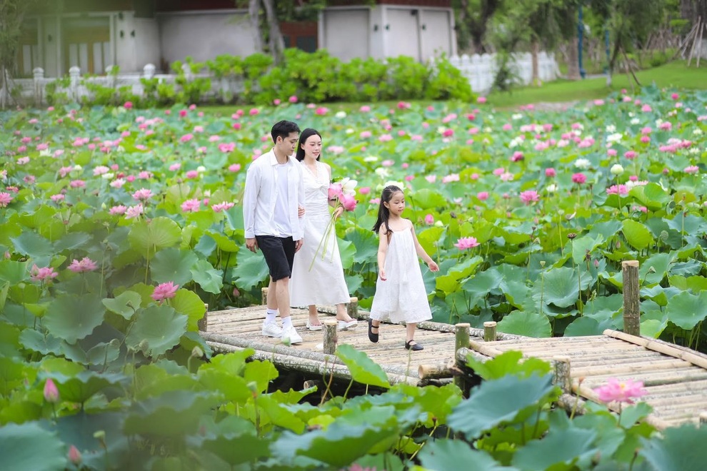Từ 4/7, Hạ Long bắn pháo hoa mỗi tối thứ sáu, thứ bảy tại “Vịnh Pháo Hoa” - 4 Từ 4/7, Hạ Long bắn pháo hoa mỗi tối thứ sáu, thứ bảy tại “Vịnh Pháo Hoa” - 4