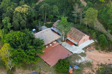 Vụ "xẻ thịt" đất lâm nghiệp ở Thanh Hóa: Chủ tịch huyện nói… sốt ruột