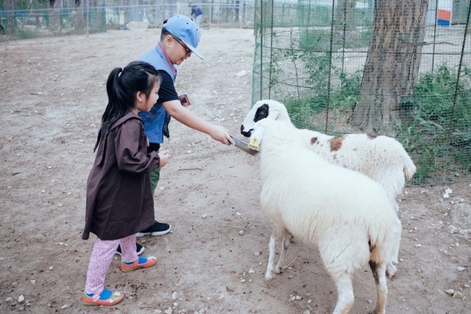 Khí hậu dễ chịu, cảnh sắc thơ mộng cùng vô vàn món ăn ngon, giá rẻ: Đà Lạt chính là lựa chọn số 1 để trốn cái nắng hè nóng nực này! - Ảnh 2. Khí hậu dễ chịu, cảnh sắc thơ mộng cùng vô vàn món ăn ngon, giá rẻ: Đà Lạt chính là lựa chọn số 1 để trốn cái nắng hè nóng nực này! - Ảnh 2.