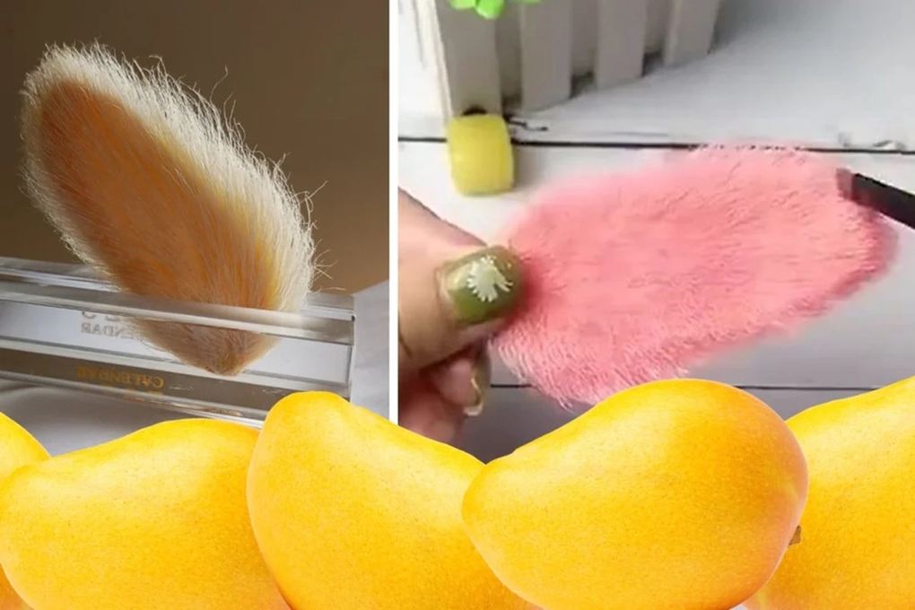 Thú nuôi hạt xoài độc lạ, gây tranh cãi của giới trẻ Trung Quốc - 1 Thú nuôi hạt xoài độc lạ, gây tranh cãi của giới trẻ Trung Quốc - 1
