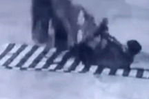 Rùng mình khoảnh khắc rắn hổ mang bò vào "ngủ chung" với người đàn ông