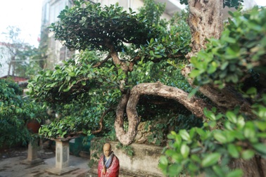 Chiêm ngưỡng "hòn ngọc Viễn Đông" giá tiền tỷ độc nhất vô nhị ở Việt Nam