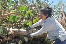 Chính phủ chỉ đạo Kiên Giang làm rõ việc tổ chức cưỡng chế thu hồi đất giao cho doanh nghiệp