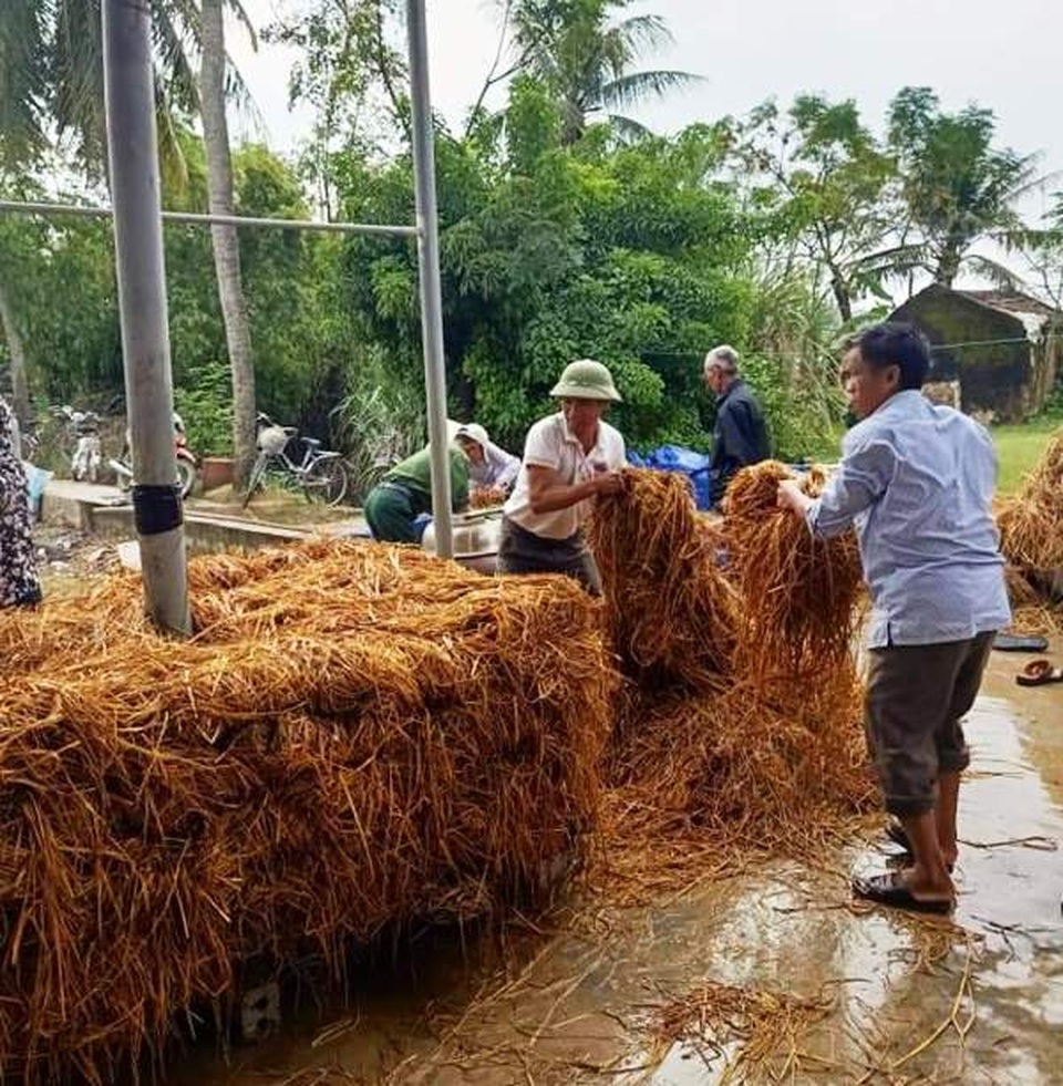 Chàng kỹ sư nông nghiệp làm giàu với mô hình trồng nấm gia trang - 7 Chàng kỹ sư nông nghiệp làm giàu với mô hình trồng nấm gia trang - 7