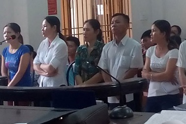 Đề nghị hủy án vụ 8 người bị tù vì chặt 12 cây tràm