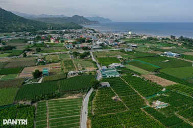 12.390 tỷ đồng di dân tái định cư làm dự án điện hạt nhân Ninh Thuận 1