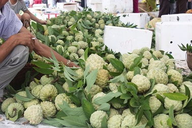 Cận cảnh chợ na lớn nhất miền Bắc ở Lạng Sơn