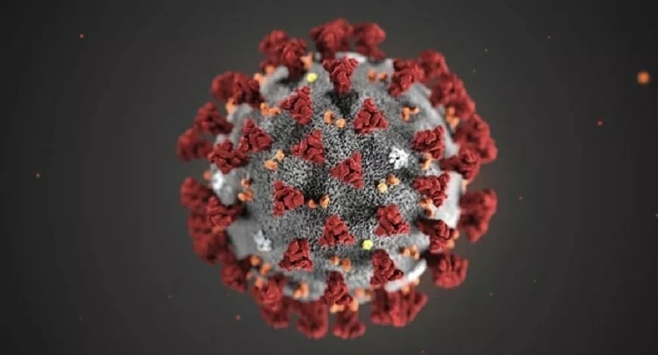 Khám phá ra bản chất của coronavirus chủng mới - 1 Khám phá ra bản chất của coronavirus chủng mới - 1
