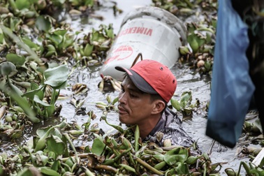 Ngổn ngang hiện trường sạt lở nhà dân ven sông ở Long An