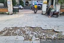 Từ "trái tim lông lá" đến lát đá vỉa hè: Tốn tiền mà "đoản thọ"