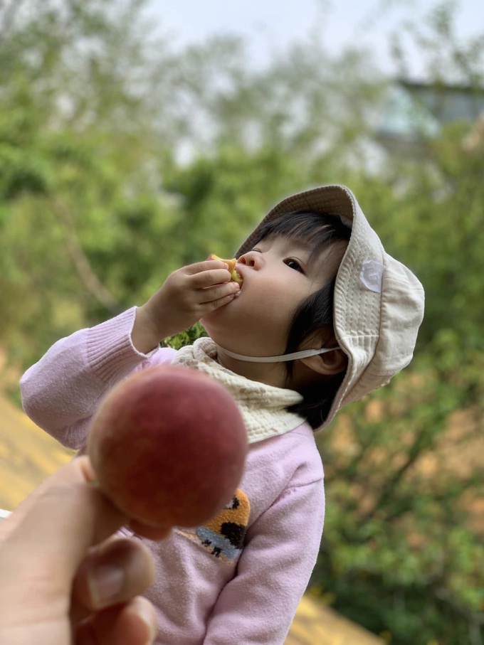 Đào Sapa vào mùa, chìm đắm trong hương vị ngọt ngào của trái ngon Tây Bắc - 11