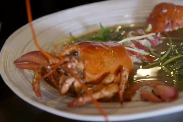 Cận cảnh bát phở tôm hùm giá tiền triệu ở nhà hàng "Quận 1"