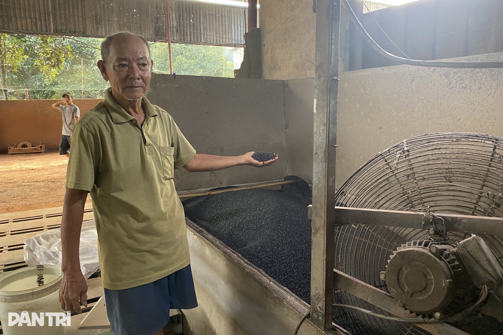 Hơn trăm hộ dân Bình Phước bịt mũi sống cam chịu gần cơ sở tái chế nhựa - 6 Hơn trăm hộ dân Bình Phước bịt mũi sống cam chịu gần cơ sở tái chế nhựa - 6