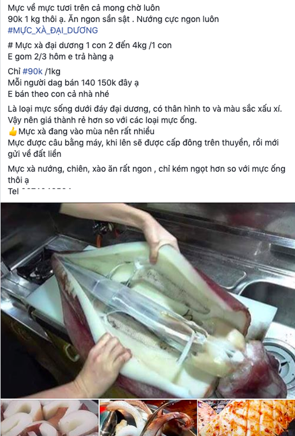 Mực khủng, dân biển chê không ăn, lên Hà Nội thành đặc sản - 1 Mực khủng, dân biển chê không ăn, lên Hà Nội thành đặc sản - 1