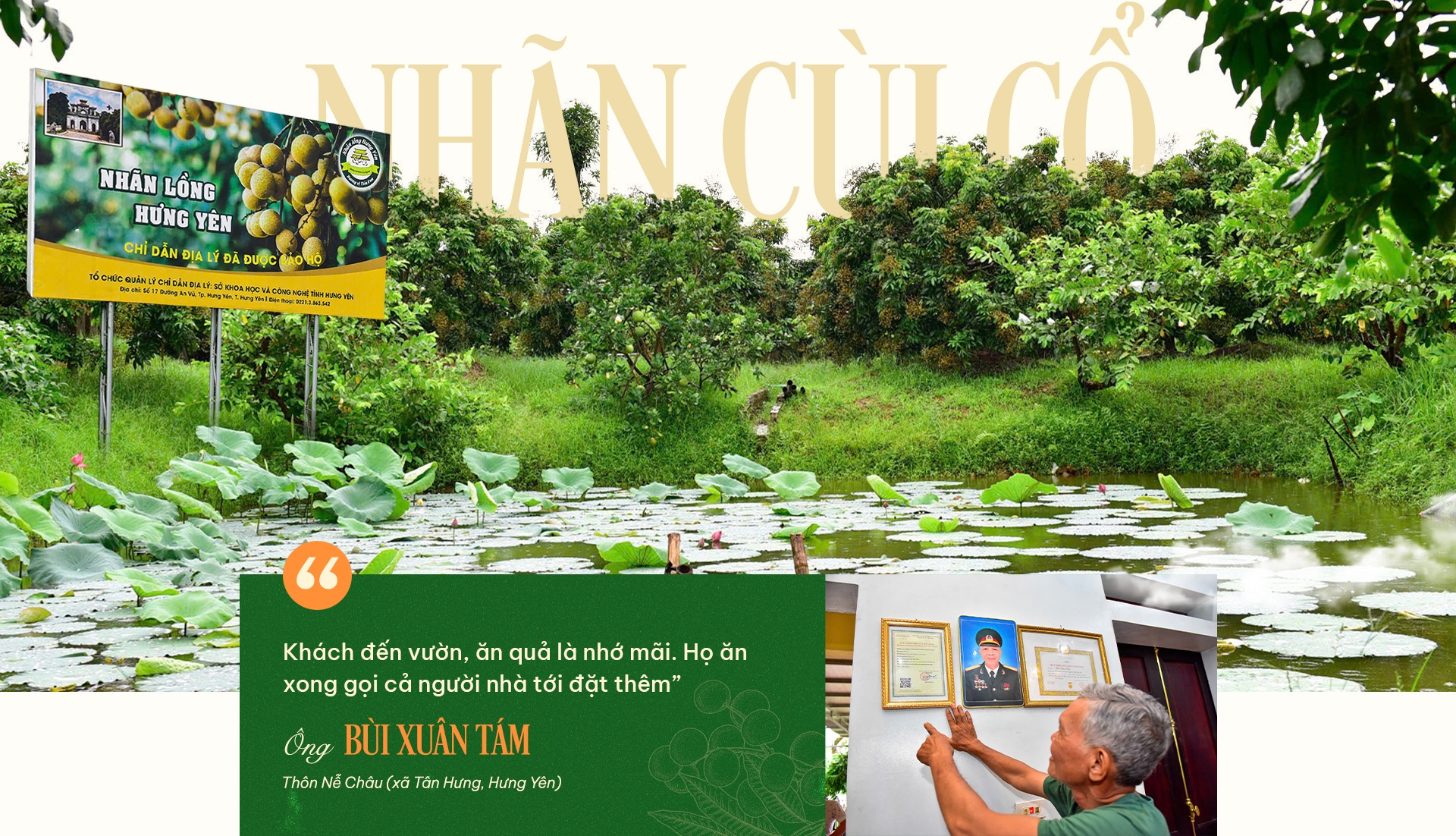 Quyết giữ “lộc phẩm tiến vua”, lão nông thu loại nhãn đắt gấp 10 lần - 23 Quyết giữ “lộc phẩm tiến vua”, lão nông thu loại nhãn đắt gấp 10 lần - 23