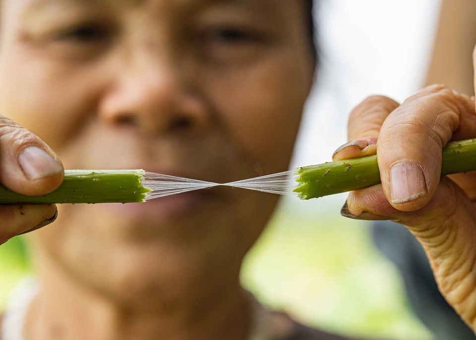 Người phụ nữ khiến sen nhả ra ngọc dệt thành khăn giá 10 triệu đồng/chiếc - 4 Người phụ nữ khiến sen nhả ra ngọc dệt thành khăn giá 10 triệu đồng/chiếc - 4