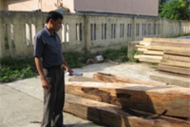 Rừng cấm Nam Hải Vân tiếp tục bị tàn phá