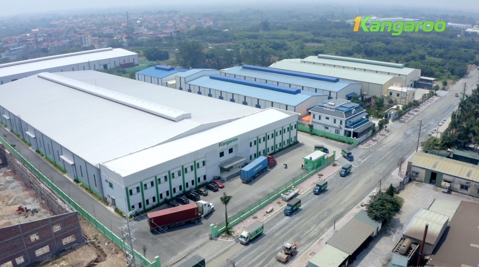 Kangaroo đại bàng vượt bão - 1 Kangaroo đại bàng vượt bão - 1