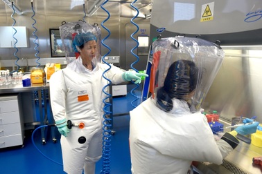 Trung Quốc nói các nhà khoa học Vũ Hán nên được "trao giải Nobel"