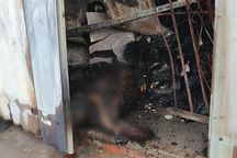 Tài xế ngân hàng tử vong khi dập lửa