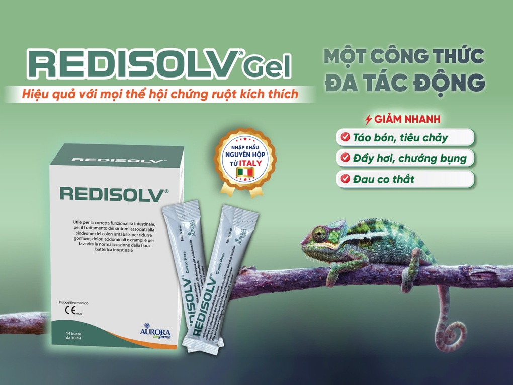Redisolv Gel - Hướng đi mới trong kiểm soát IBS từ cơ chế nền đến triệu chứng cấp - 2 Redisolv Gel - Hướng đi mới trong kiểm soát IBS từ cơ chế nền đến triệu chứng cấp - 2