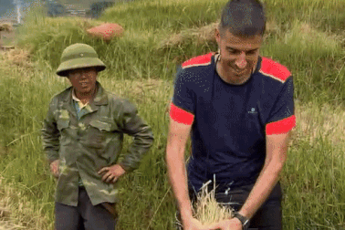 Khách Tây sang Việt Nam đi làm ruộng, tuốt lúa, lần đầu sờ thử con trâu