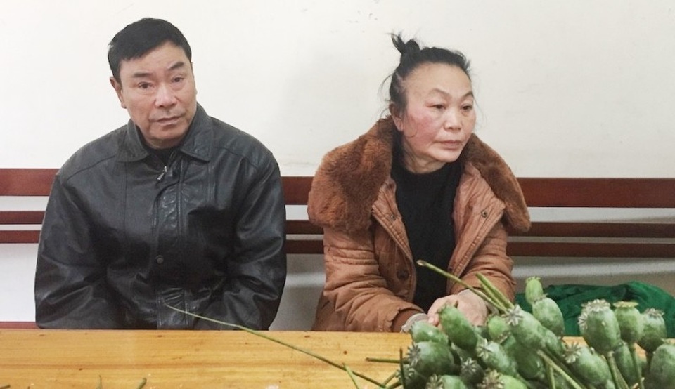 Mang hàng nghìn quả thuốc phiện tươi đi bán, hai đối tượng bị bắt giữ - 2 Mang hàng nghìn quả thuốc phiện tươi đi bán, hai đối tượng bị bắt giữ - 2