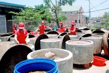 Quảng Bình: Kiếm tiền tỷ nhờ nghề làm nước mắm truyền thống