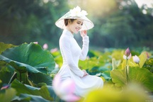 Hoa khôi Phan Cẩm Ly: "Có đam mê, nhiệt huyết, bạn mới thành công được"