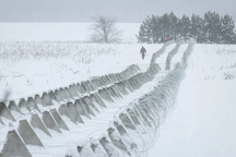 Ukraine căng mình dựng lưới phòng thủ, chặn "sóng" tiến công vũ bão của Nga