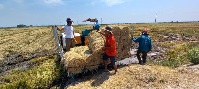 Chính quyền tỉnh Thừa Thiên Huế kêu gọi người dân xử lý rơm rạ sau thu hoạch bằng cơ giới hoá hoặc sử dụng chế phẩm vi sinh. Nguồn: Internet