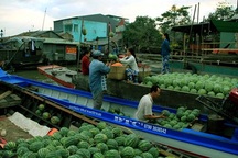 Về Cần Thơ, đừng quên "đặc sản" chợ nổi Cái Răng