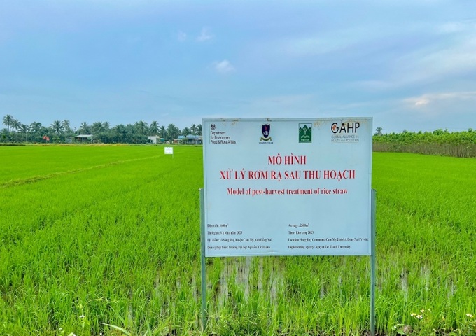 Trường ĐH Nguyễn Tất Thành vừa triển khai dự án quốc tế “Mô hình xử lý rơm rạ sau thu hoạch bằng chế phẩm vi sinh”.