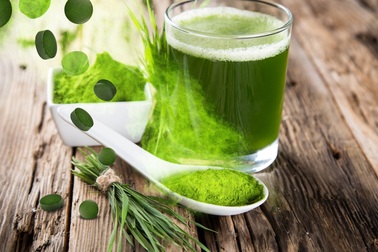 Thoát kiếp cò hương nếu biết đến Tảo Mặt Trời sớm