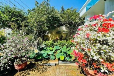 Khu vườn 300m2, bốn mùa ngập sắc hoa ở Vũng Tàu