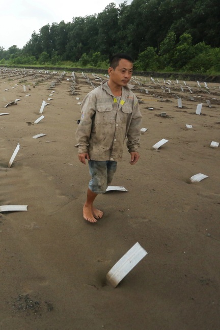 Ngổn ngang dự án Vành đai 3 TPHCM đoạn giáp Tây Ninh