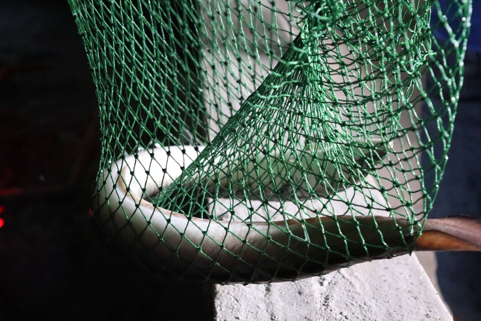 Câu chuyện khởi nghiệp của chàng kỹ sư với 4.000 con cá chình - 7 Câu chuyện khởi nghiệp của chàng kỹ sư với 4.000 con cá chình - 7