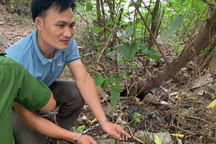 Đau lòng án mạng từ tình yêu mù quáng