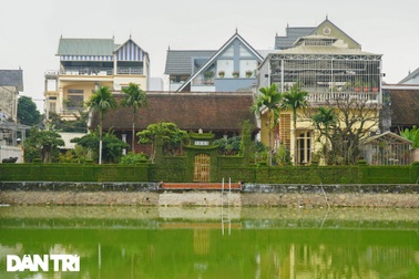 Căn nhà có hàng rào bằng cây ô rô tạo tác 30 năm "độc nhất" ở Hà Nội