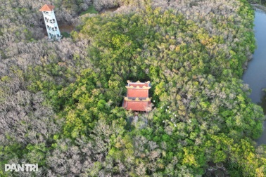 Căn hầm bí mật và tàn tích đình làng cổ dưới khu rừng đến thu là đổi màu