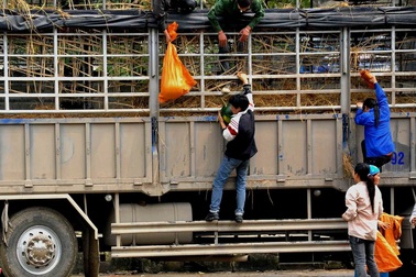 Giám đốc Công an Lạng Sơn lên tiếng vụ “hôi” dưa tại cửa khẩu