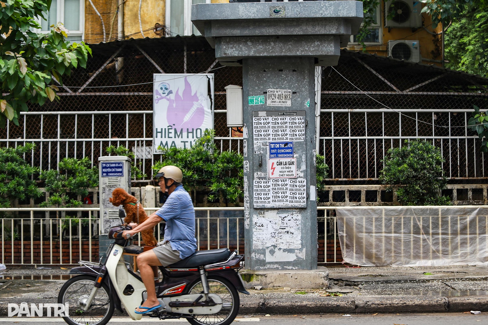 Dán quảng cáo lên cột điện TPHCM, người vi phạm bị bắt đi cạo bỏ ...