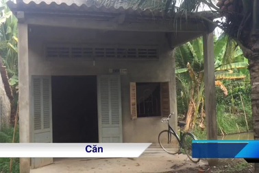 Thương cậu học sinh mồ côi mẹ, hái dừa thuê nuôi cha bạo bệnh