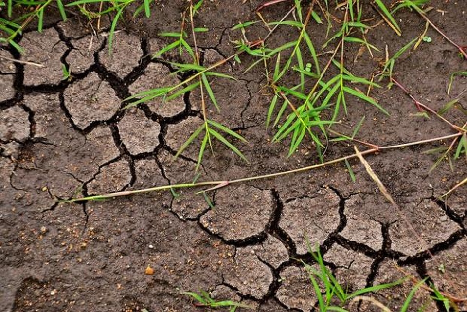 Nếu khí hậu tăng lên 2 độ C có thể giải phóng hàng tỷ tấn carbon trong đất - 1 Nếu khí hậu tăng lên 2 độ C có thể giải phóng hàng tỷ tấn carbon trong đất - 1