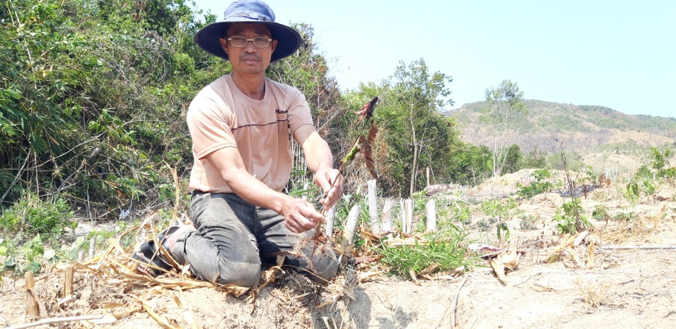 Thủy điện chặn dòng, hàng trăm héc ta hoa màu nguy cơ chết khô - 3 Thủy điện chặn dòng, hàng trăm héc ta hoa màu nguy cơ chết khô - 3