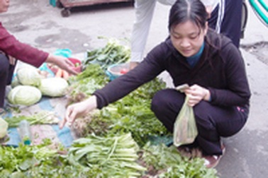 Sinh viên thời… khát rau xanh